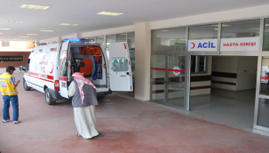 Urfa'da kamyon ile otomobil çarpıştı , 3 yaralı