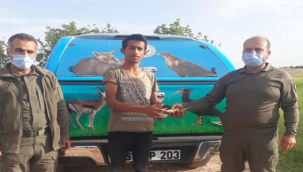 Urfa'da ortaya çıktı!