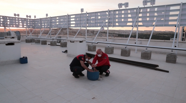 Urfa  iftar vaktinde bomba sesleriyle yankılanacak