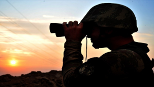 Urfa sınırda yakalandılar