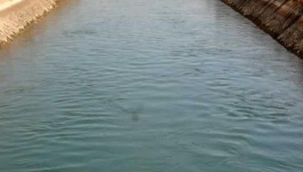 Urfalı 4 çocuktan 2'si sulama kanalında kayboldu