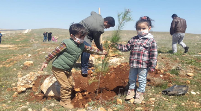Viranşehir Adalet Ormanında Fidan Dikim Etkinliği