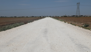 Büyükşehir'den Kısıtlamada Eyyübiye kırsalında yol yapım atağı