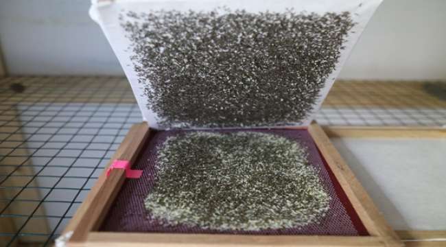 Büyükşehirden İpekböcekçiliği için çiftçiye tam destek