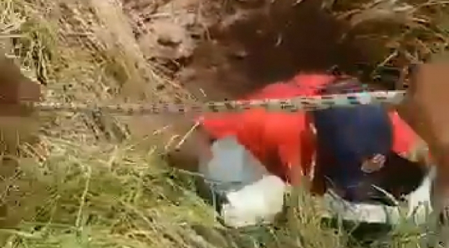 Ceylanpınar'da kopek kuyuya düştü