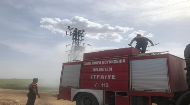 Ceylanpınar'da Trafo Yangını