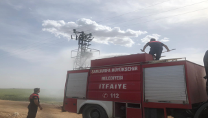 Ceylanpınar'da Trafo Yangını