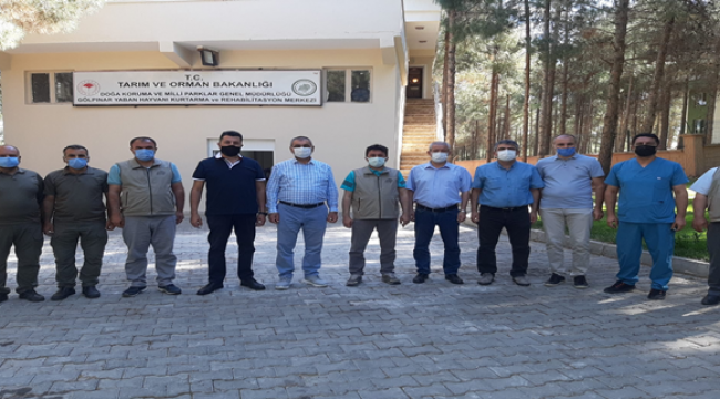 DKMP Genel Müdür Yardımcısı Bulut Şanlıurfa'da incelemelerde bulundu