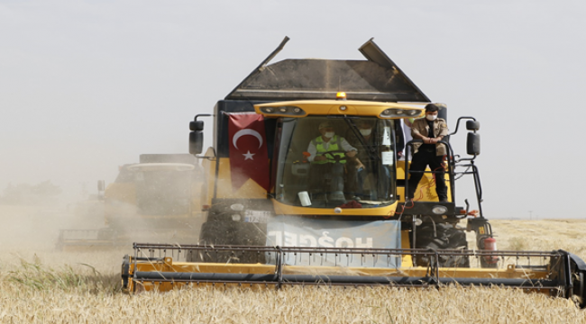 Hasat Kaybını Önlemek İçin Tarla Kontrolleri Yapılacak
