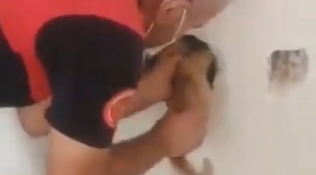 İtfaiyeden kedi kurtarma operasyonu