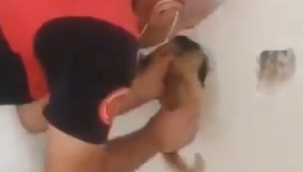 İtfaiyeden kedi kurtarma operasyonu