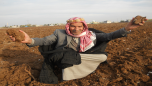 Kuraklık Çiftçiyi vurdu