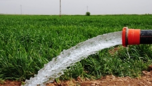 Kuraklık tarımsal sulamadaki elektrik faturasını artırıyor