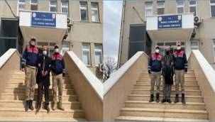 Şanlıurfa'da 15 aylık zaman diliminde 160 olay aydınlatıldı