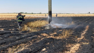 Şanlıurfa'da Bir Tarla Yangını Daha