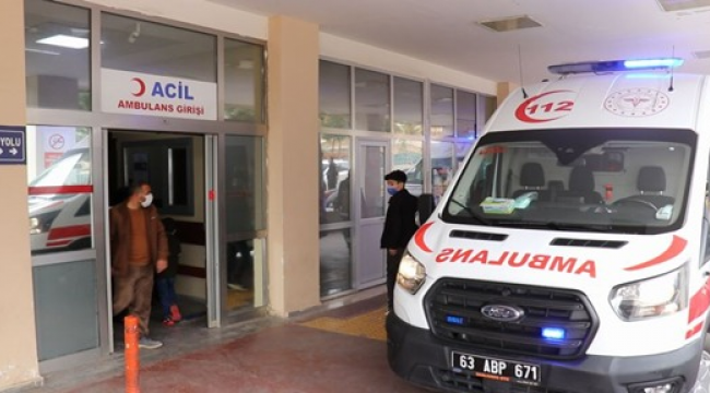 Şanlıurfa'da koyun otlatma kavgası