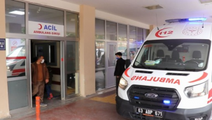 Şanlıurfa'da koyun otlatma kavgası