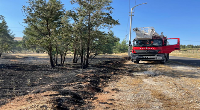 Şanlıurfa'da ormanlık alanda yangın