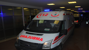 Şanlıurfa'da Yılanı öldürmek isterken 5 çocuğu yaraladı