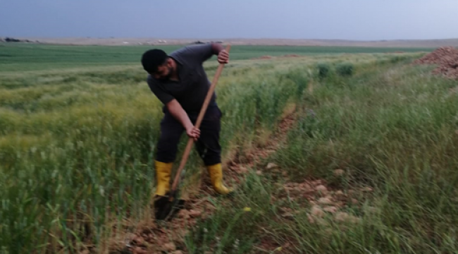 Şanlıurfalı çiftçilerin Ramazan mesaisi