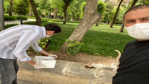 Tam kapanma günlerinde sokak hayvanları da unutulmuyor