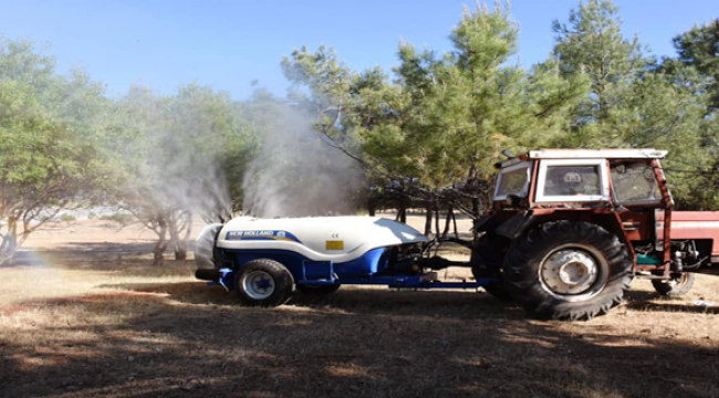 Urfa'da ağaçlarda ilaçlama çalışması başlatıldı