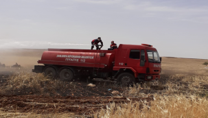 Urfa'da ekin yangınları başladı