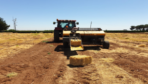 Urfa'da hasat başladı! 