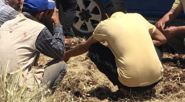 Urfa'da traktörün altında kalan adam can verdi!