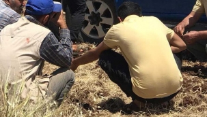 Urfa'da traktörün altında kalan adam can verdi!