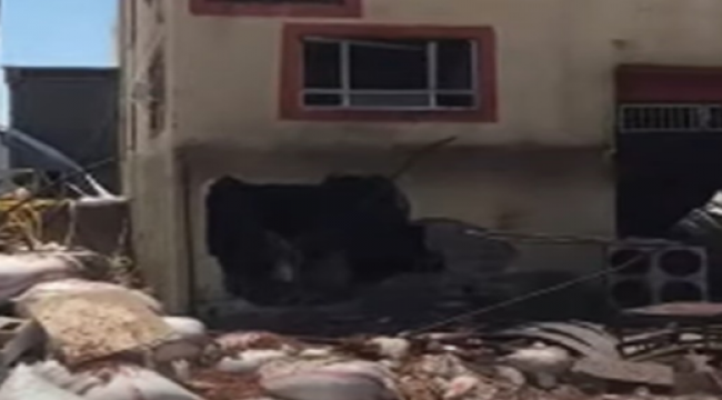 Urfa Gıda İmalatçılar Sitesinde patlama