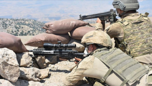 Urfa sınırda etkisiz hale getirildiler