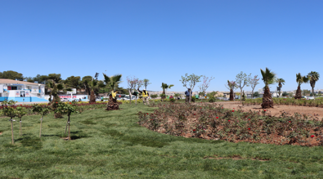Yetiştirdiğimiz çiçekler park, cadde ve refüjlerde renk cümbüşü oluşturuyor