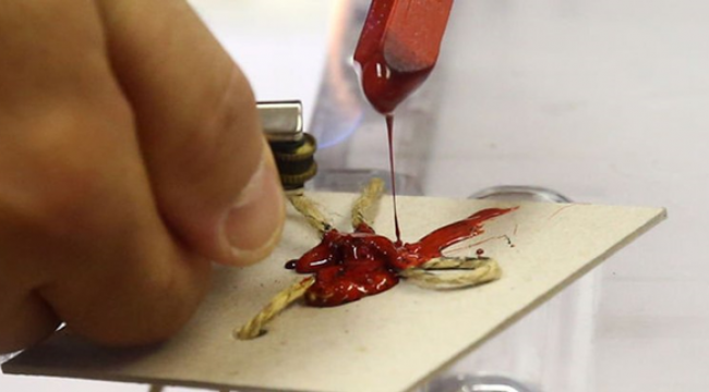 Ceylanpınar'da Mahalle Muhtarlığı seçimi yapıldı