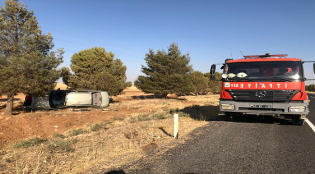 Ceylanpınar'da trafik kazası