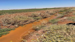 Fazla Su Fazla Ürün Değildir