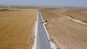 Haliliye Ve Eyyübiye kırsalında asfalt atağı 