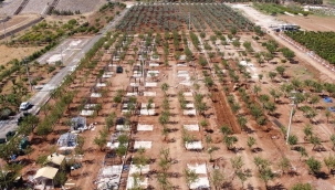 Hobi bahçesinde sona doğru gelindi