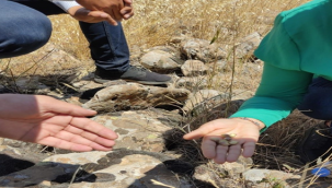 HRÜ gen bankası oluşturuldu