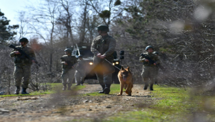 MSB duyurdu: Şanlıurfa sınırında 6 terörist etkisiz hale getirildi