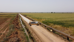 Şanlıurfa'da arazi toplulaştırmada  tarla içi yol çalışmaları devam ediyor