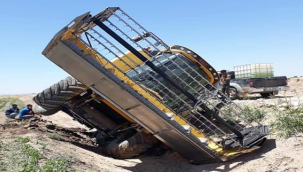 Şanlıurfa'da biçerdöver şarampole devrildi!