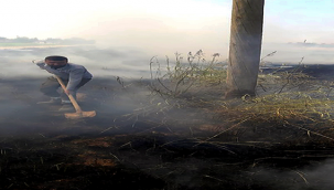 Şanlıurfa'da tarlada anız yakılması elektrik direklerine zarar verdi