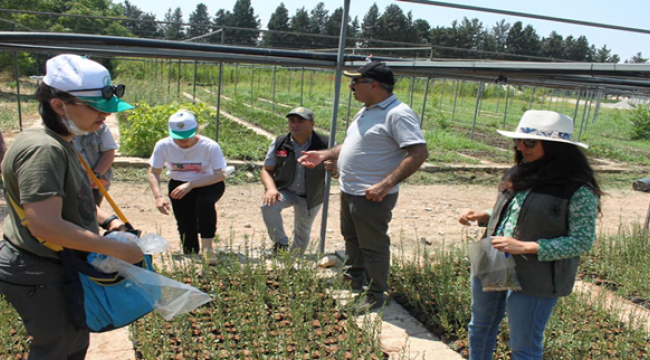 Şanlıurfa'da Uzman ekipler yaşanan fidan kuruluklarını araştıracak