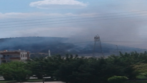 Şanlıurfa'daki ormanlık alanda yangın!