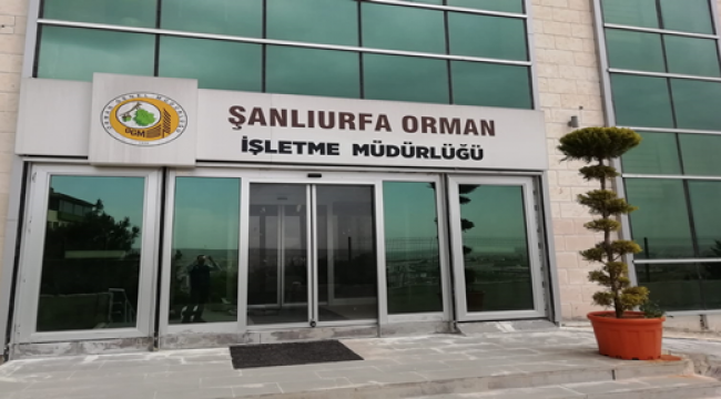 Şanlıurfa Orman Bölge Müdürlüğü Geçici İşçi Alacak