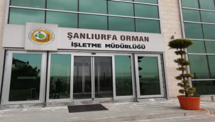 Şanlıurfa Orman Bölge Müdürlüğü Geçici İşçi Alacak