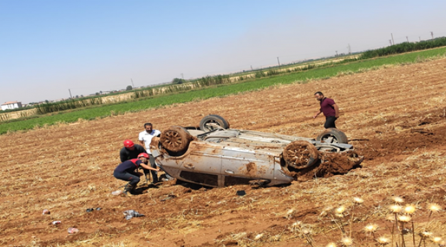 Urfa'da araç takla atarak tarlaya yuvarlandı