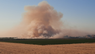 Urfa'da bitmeyen  anız yangınları