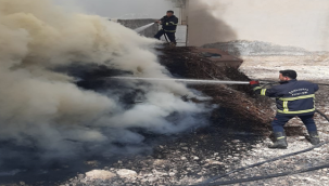 Urfa'da odunluk yangını
